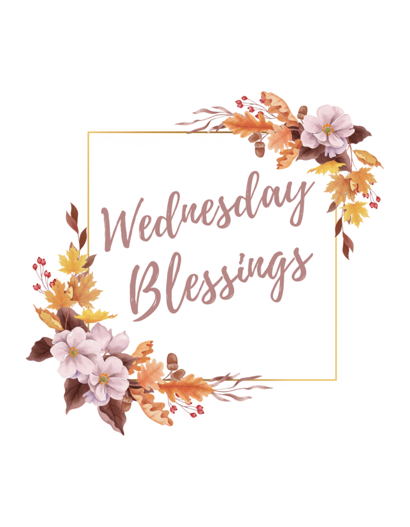 Wednesday Blessings