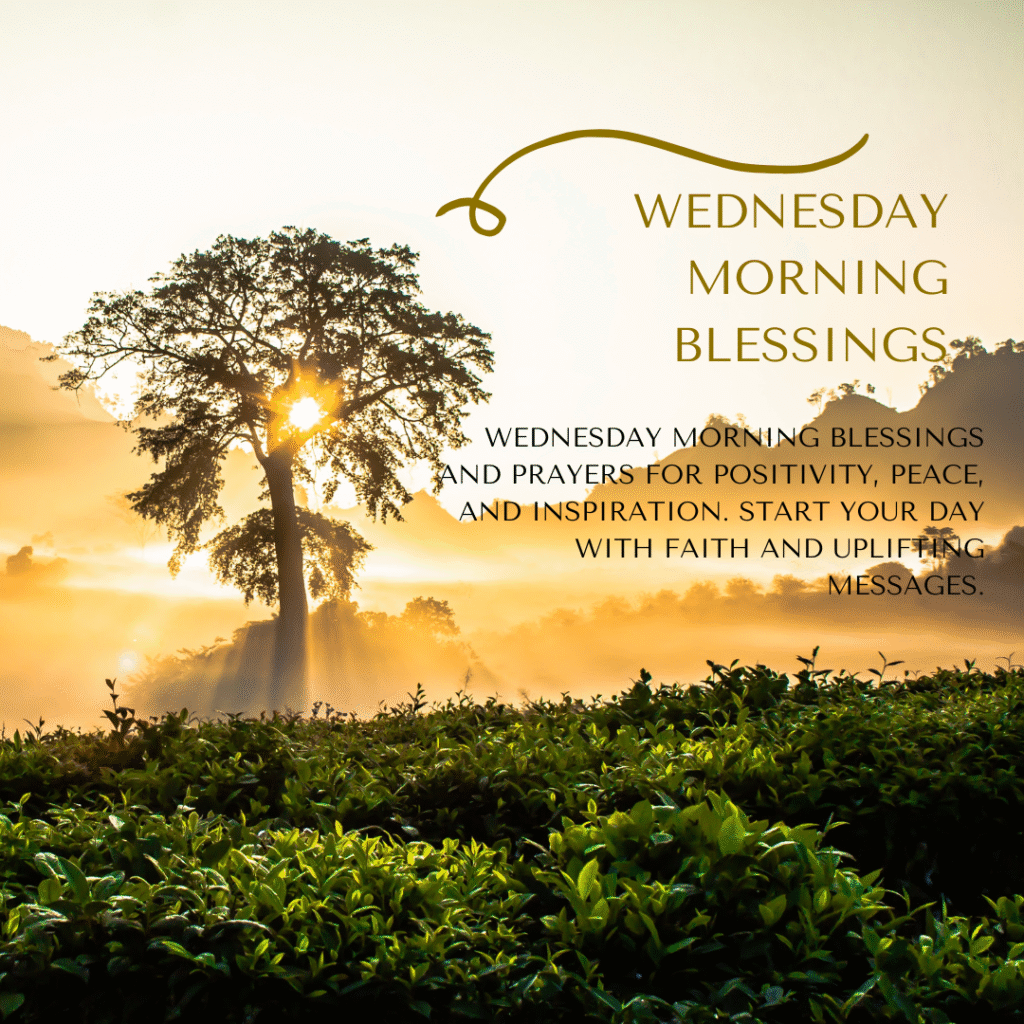Wednesday Morning Blessings